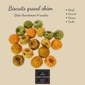 COFFRET DE NOEL - BOITE A BISCUITS POUR CHIEN