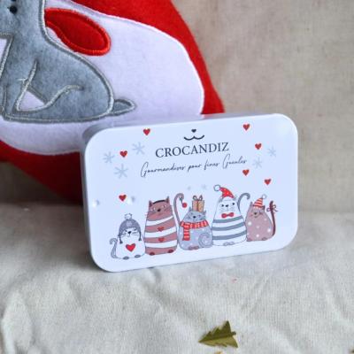 COFFRET DE NOEL - BOITE A BISCUITS POUR CHAT