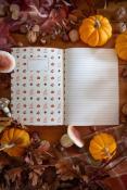 CARNET D'AUTOMNE - CAROFROMWOODLAND