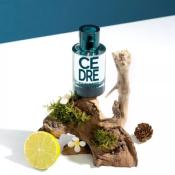 PARFUM CEDRE - SOLINOTES - 50 ML