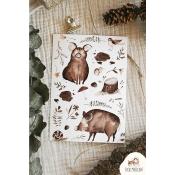 CARTE DE VOEUX - AMOUR DES SANGLIERS